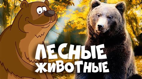 Лес Животных
 2024.04.25 02:45 мультфильм онлайн смотреть.
